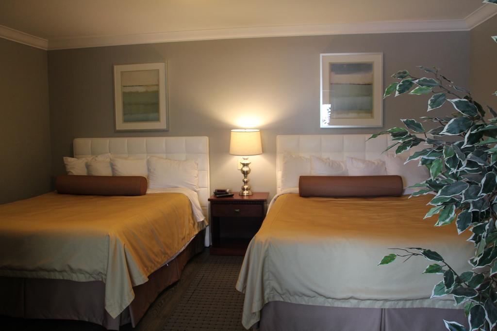 Willow Bend Motel Truro Esterno foto