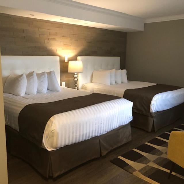 Willow Bend Motel Truro Esterno foto